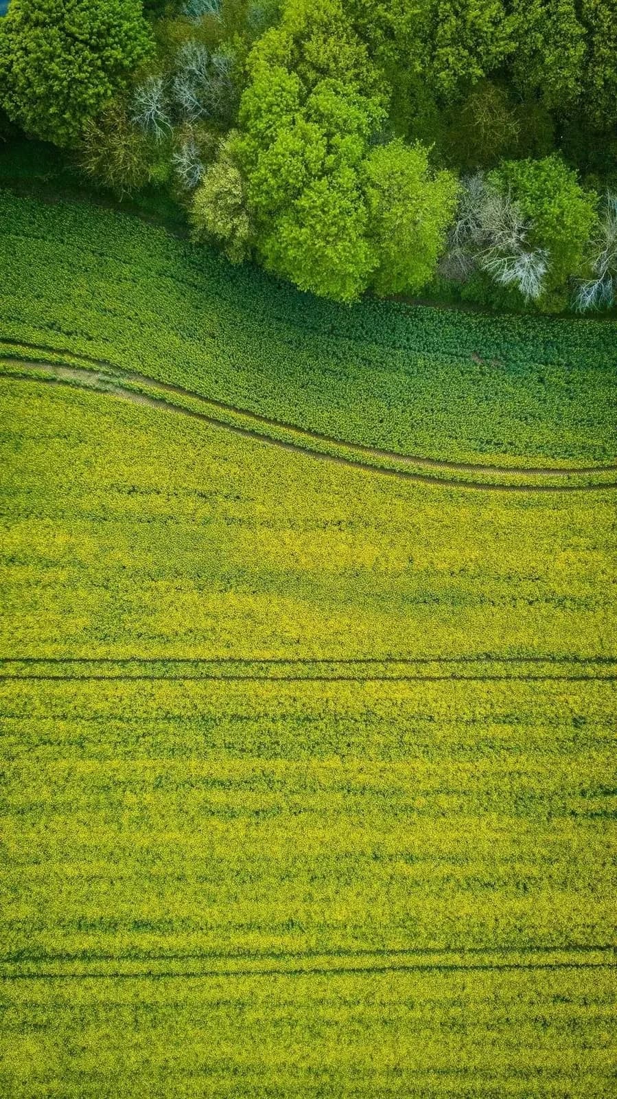 Landtechnik Schuster Startseite